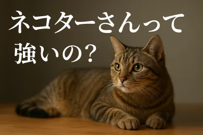 ネコター さんって強いの？