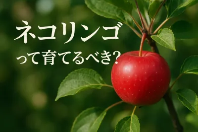 ネコリンゴって育てるべき？