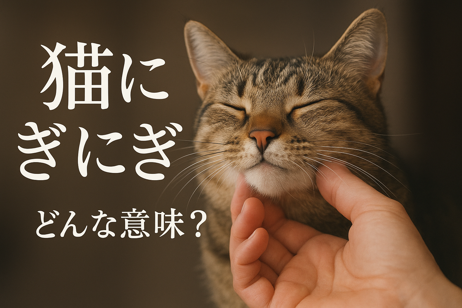 猫 に ぎにぎってどんな意味?
