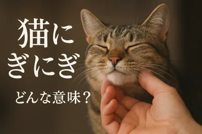 猫 に ぎにぎってどんな意味？