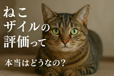 ねこ ザイルの評価って本当はどうなの？