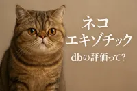 ネコ エキゾチック dbの評価って？