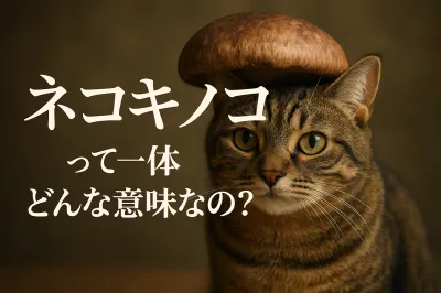 ネコキノコって一体どんな意味なの？
