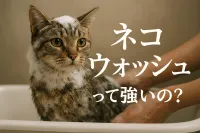 ネコ ウォッシュって強いの？