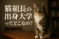 猫組長の出身大学ってどこなの？