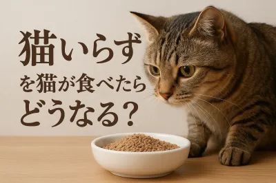 猫いらずを猫が食べたらどうなる？