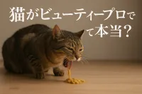猫がビューティープロで吐くって本当？