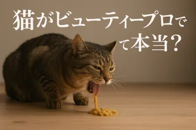 猫がビューティープロで吐くって本当？