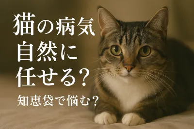 猫の病気自然に任せる？知恵袋で悩む？