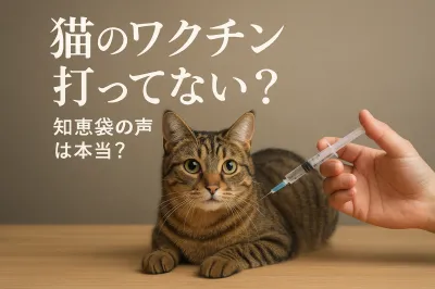 猫のワクチン打ってない？知恵袋の声は本当？