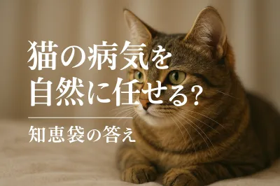猫の病気を自然に任せる？知恵袋の答え