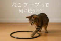 ねこ フープって何に使うの？
