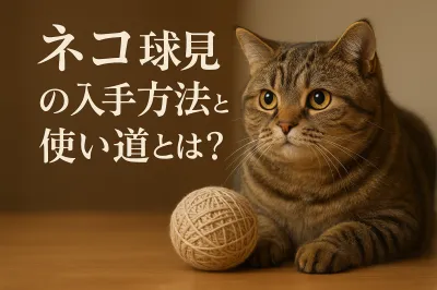 ネコ 球児の入手方法と使い道とは？