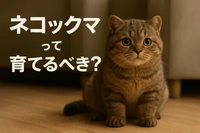 ネコックマって育てるべき？