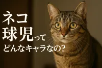 ネコ 球児ってどんなキャラなの？