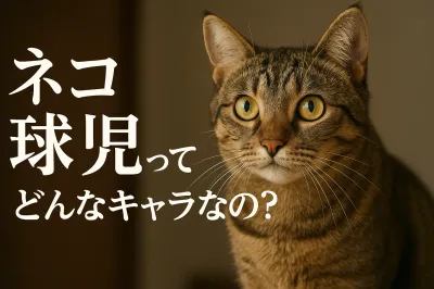ネコ 球児ってどんなキャラなの？