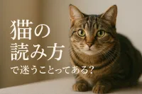 猫の読み方で迷うことってある？