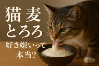 猫 麦 とろろ 好き嫌いって本当？