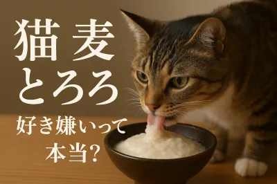 猫 麦 とろろ 好き嫌いって本当？
