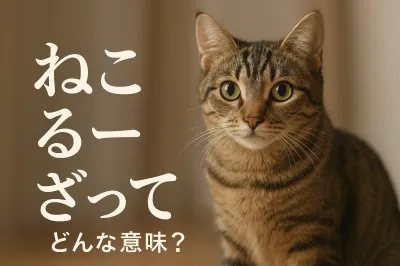 ねこ るー ざってどんな意味？