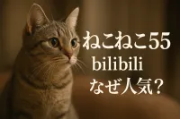 ねこねこ 55 bilibiliなぜ人気？