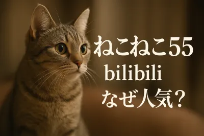 ねこねこ 55 bilibiliなぜ人気？