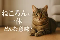 ねころんとは一体どんな意味？