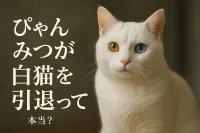 ぴゃん みつが白 猫を引退って本当？