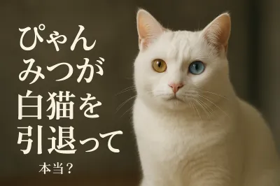 ぴゃん みつが白 猫を引退って本当？