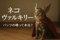 ネコ ヴァルキリー パンツの噂って本当？
