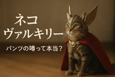 ネコ ヴァルキリー パンツの噂って本当？