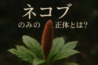 ネコブ のみの正体とは？