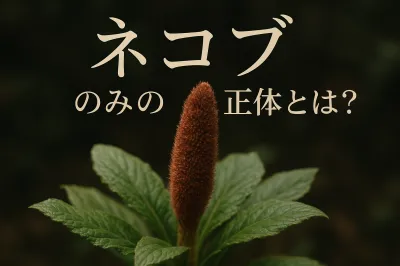 ネコブ のみの正体とは？