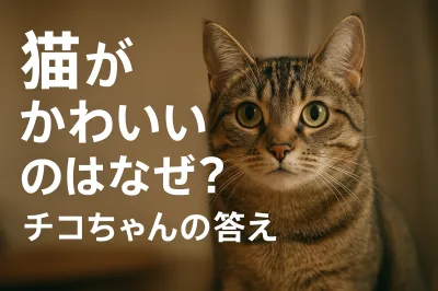 猫がかわいいのはなぜ？チコちゃんの答え