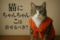 猫にちゃんちゃんこは着せるべき？