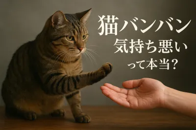 猫バンバンが気持ち悪いって本当？