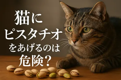 猫にピスタチオをあげるのは危険？