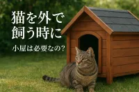 猫を外で飼う時に小屋は必要なの？
