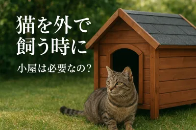 猫を外で飼う時に小屋は必要なの？