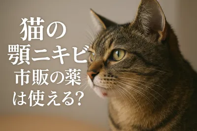 猫の顎ニキビに市販の薬は使える？
