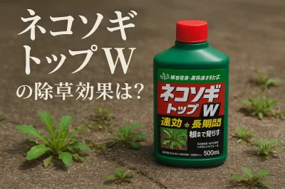 ネコソギ トップ wの除草効果は？