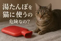 湯たんぽを猫に使うのは危険なの？