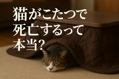 猫がこたつで死亡するって本当？