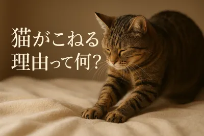 猫がこねる理由って何？