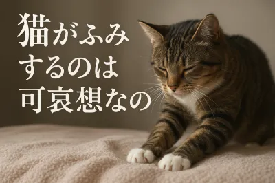 猫がふみふみするのは可哀想なの？
